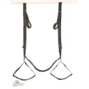 Adam & Eve Naughty Couples Door Swing thumbnail 3