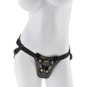 Fetish Fantasy Gold Strap On Set thumbnail 2