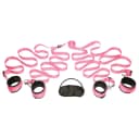 Frisky Pink Bedroom Restraint Kit thumbnail 2