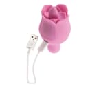 Eve's Ravishing Clit Flicking Rose thumbnail 9