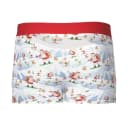 St. Dick Mesh Boxer Short thumbnail 5