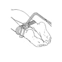 Adam & Eve Bondage Rope thumbnail 11
