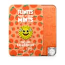 Flintts Mouthwatering Mints thumbnail 16