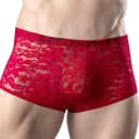 Men's Stretch Lace Mini Trunk thumbnail 1