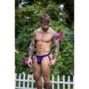 Purple Rein Crossover Jock thumbnail 2