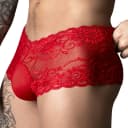 Sassy Mini Short Sheer Pouch thumbnail 1
