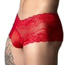 Sassy Mini Short Sheer Pouch thumbnail 4