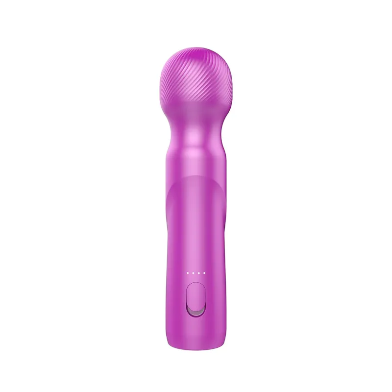 Wild Secrets Bliss 2 Wand Massager