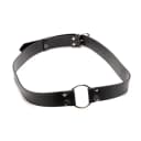 Master Series Strap And Ride Strap Harness thumbnail 1