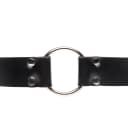 Master Series Strap And Ride Strap Harness thumbnail 4