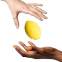 Romp Lemon Crush thumbnail 4
